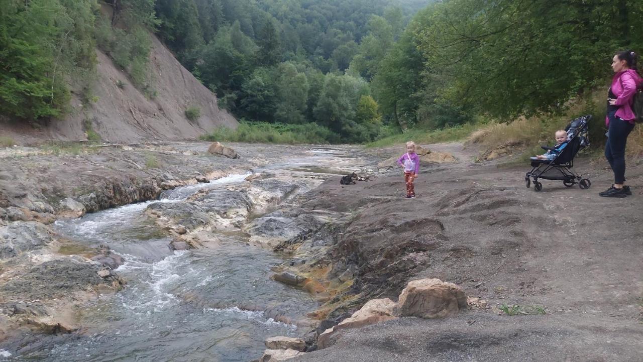 ששורי Садиба Федорчуків Гірська Хатина מראה חיצוני תמונה