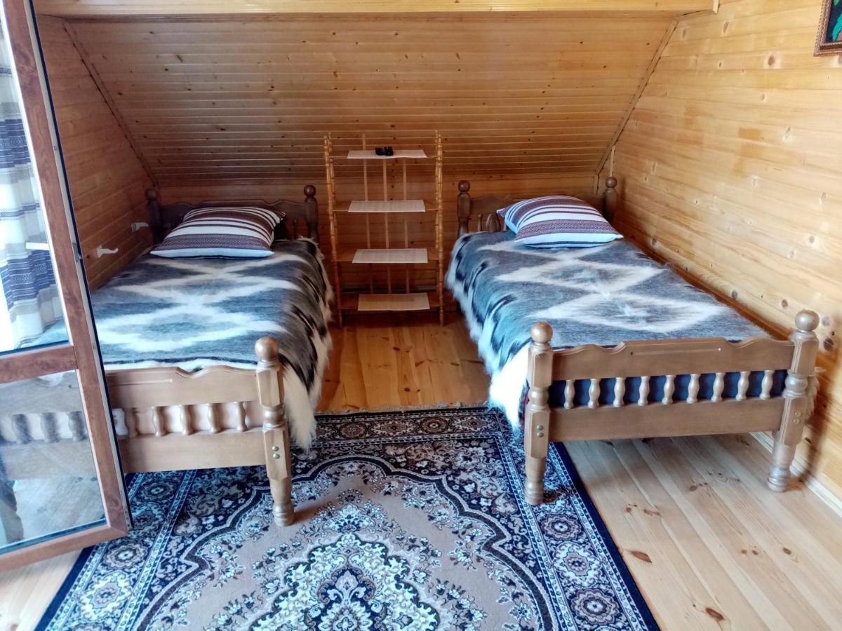 ששורי Садиба Федорчуків Гірська Хатина מראה חיצוני תמונה